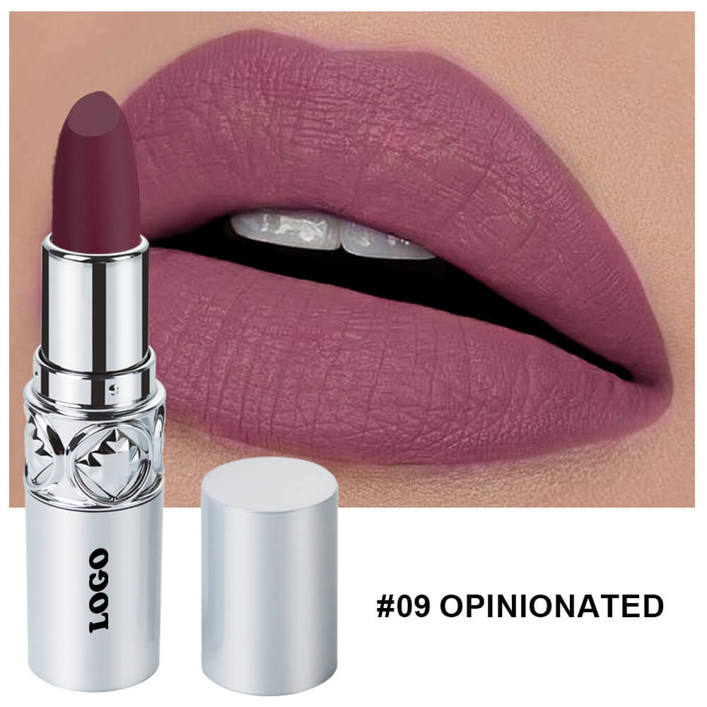 24 color matte lipstick cream waterproof long lasting silver tube
