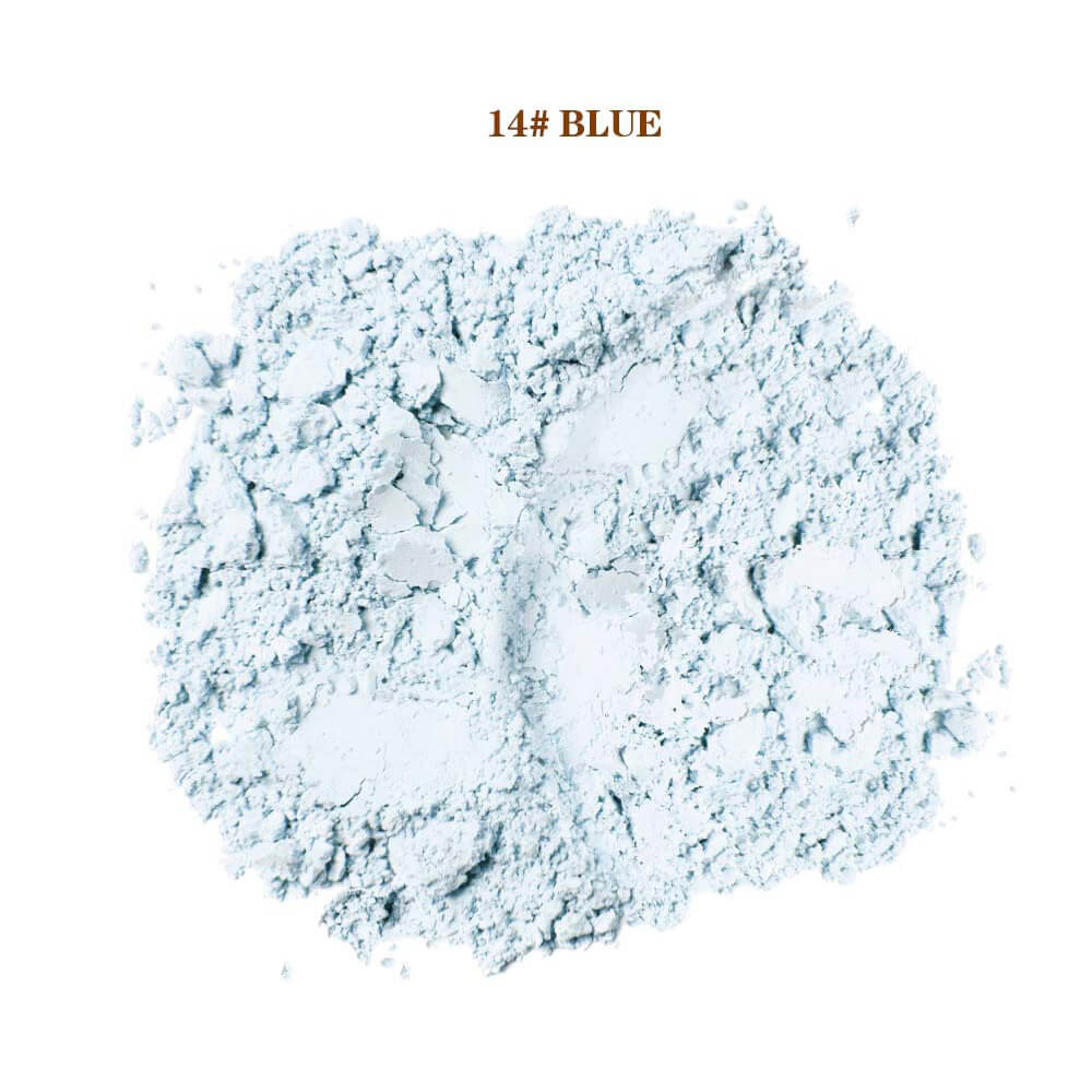 14-Shade Loose Setting Powder With Puff Matte Oil-Control Long-Lasting Waterproof