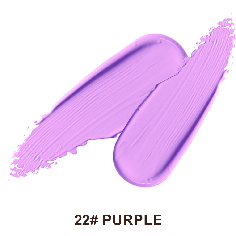 22-Shade Liquid Concealer High Coverage Acne Marks Spots Dark Circles Vegan