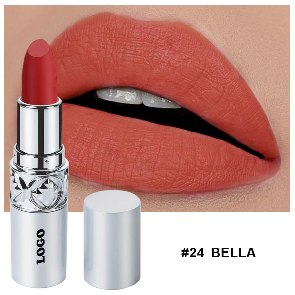 24 color nude lipstick matte cream waterproof long lasting silver tube