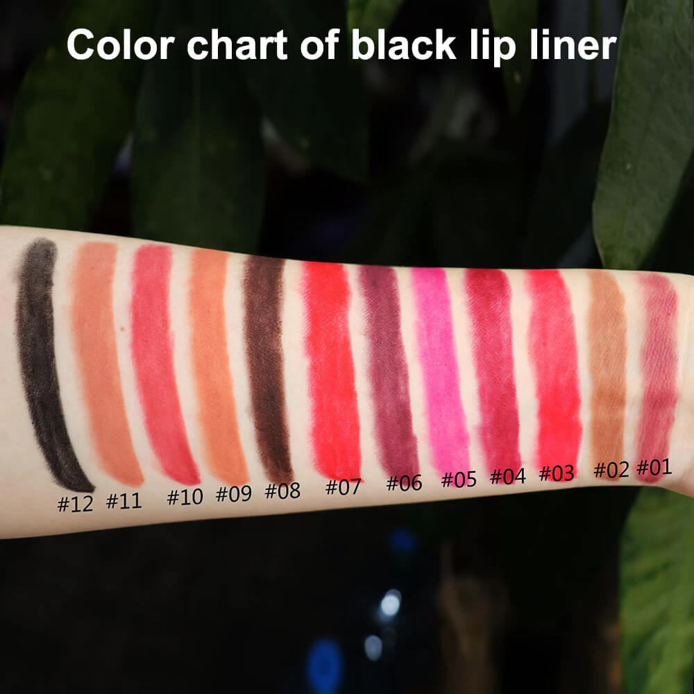 65 color lip gloss and lip liner set 2 in 1 lip kit moisturizing high pigmented