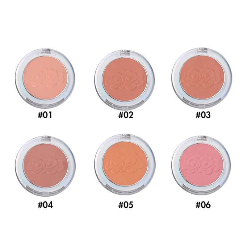 6 color blush powder eye shadow matte shimmer long lasting