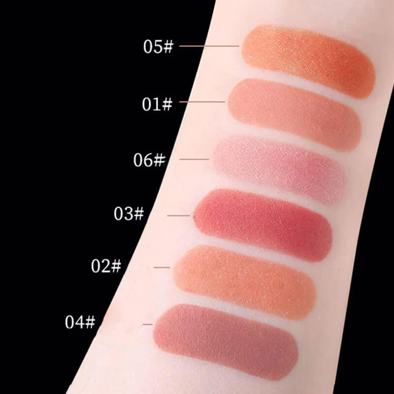 6 color blush powder eye shadow matte shimmer long lasting