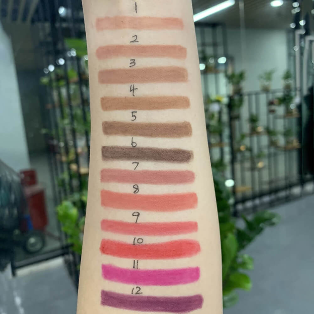 12 color lip liner matte lip color pencil swivel high pigmented