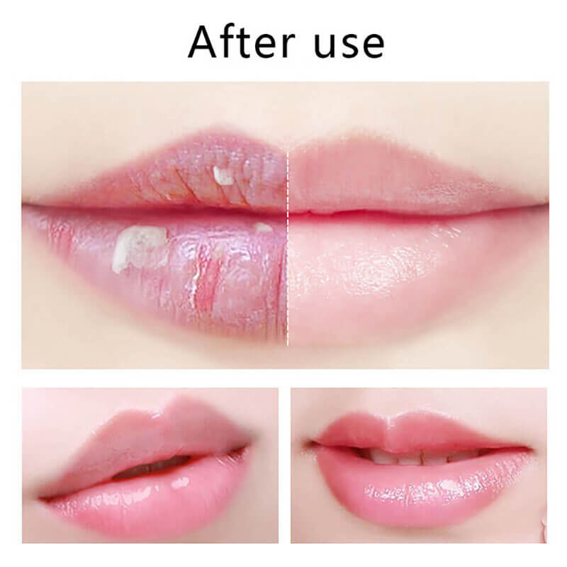 4 flavor fruit lip balm moisturizing nourishing lip care