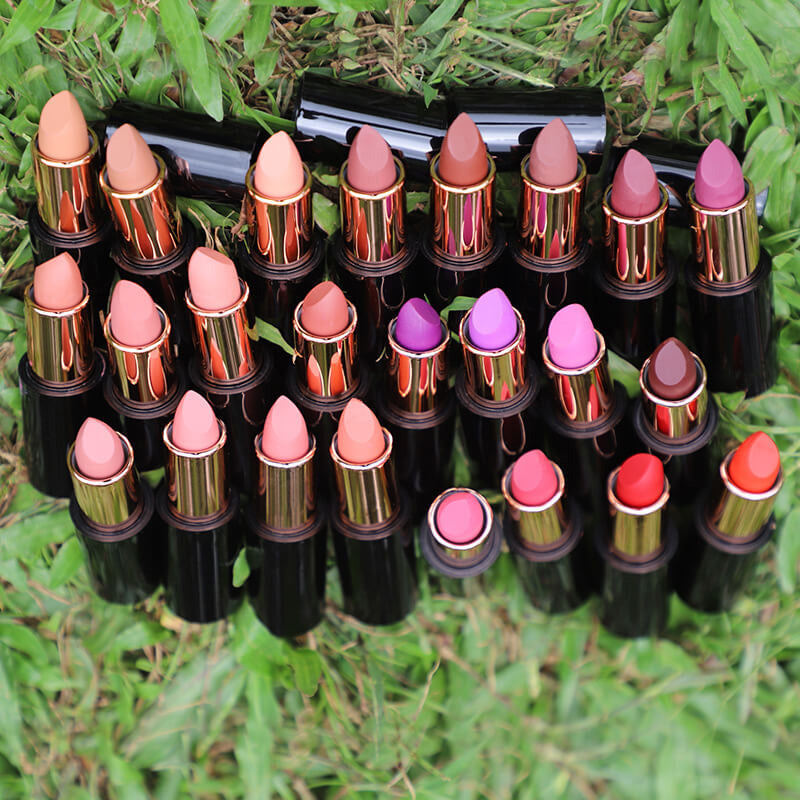 24 color matte lipstick moisturing vegan high pigmented