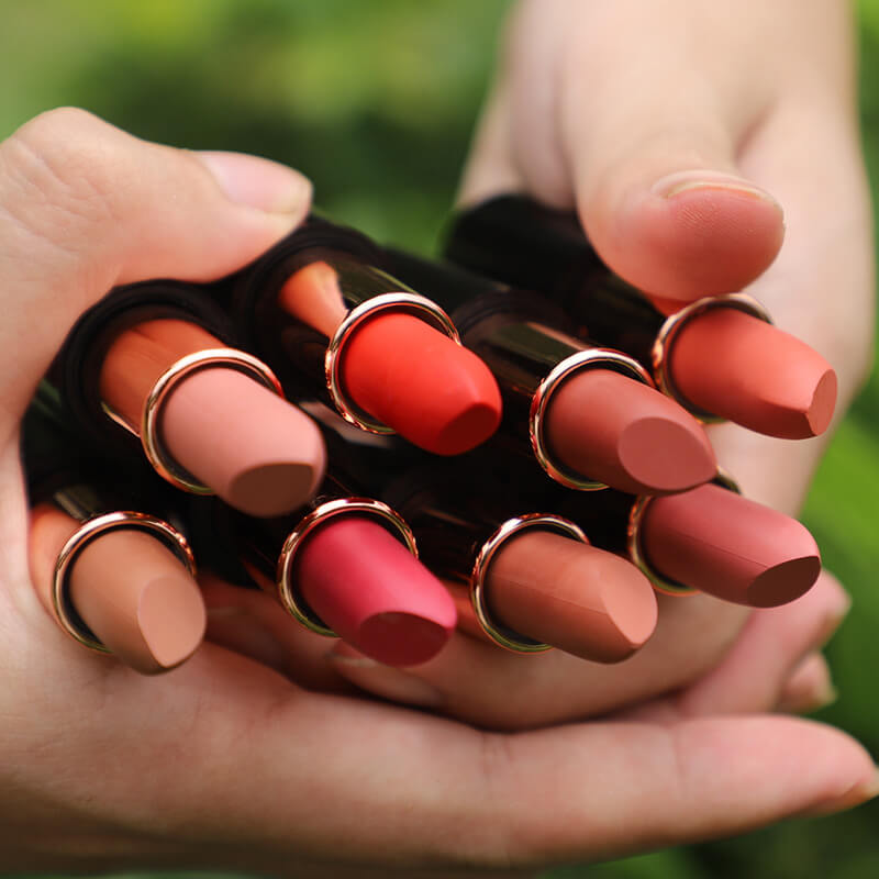 24 color matte lipstick moisturing vegan high pigmented