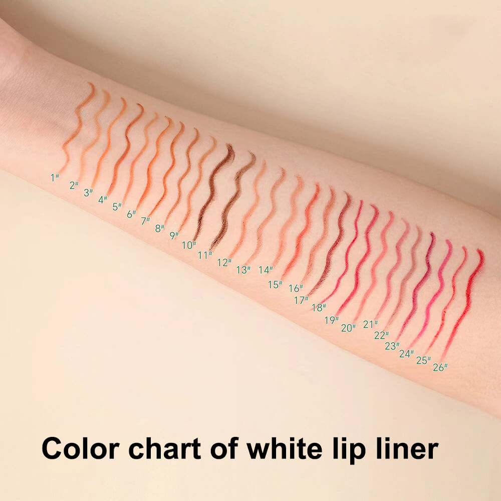 65 color lip gloss and lip liner set 2 in 1 lip kit moisturizing high pigmented