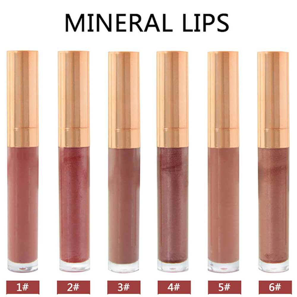 6 color lip gloss nude shimmer high pigmented gold tube