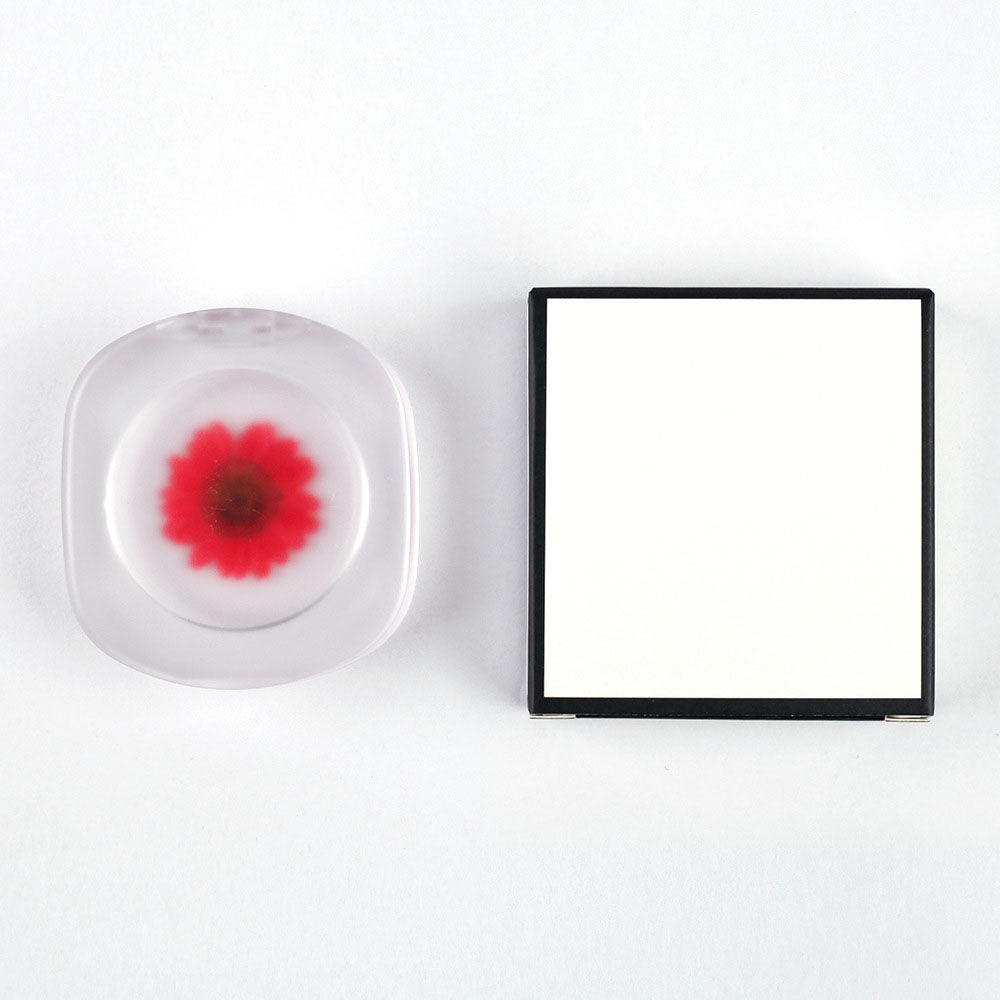 Blush gel bicolore, rouge à lèvres crème, rouge à joues, permanent, véritables fleurs, changement de couleur selon la température