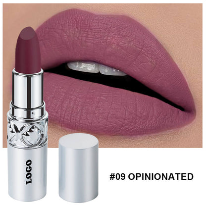 24 color matte lipstick cream waterproof long lasting silver tube