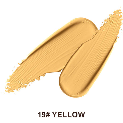 22-Shade Liquid Concealer High Coverage Acne Marks Spots Dark Circles Vegan