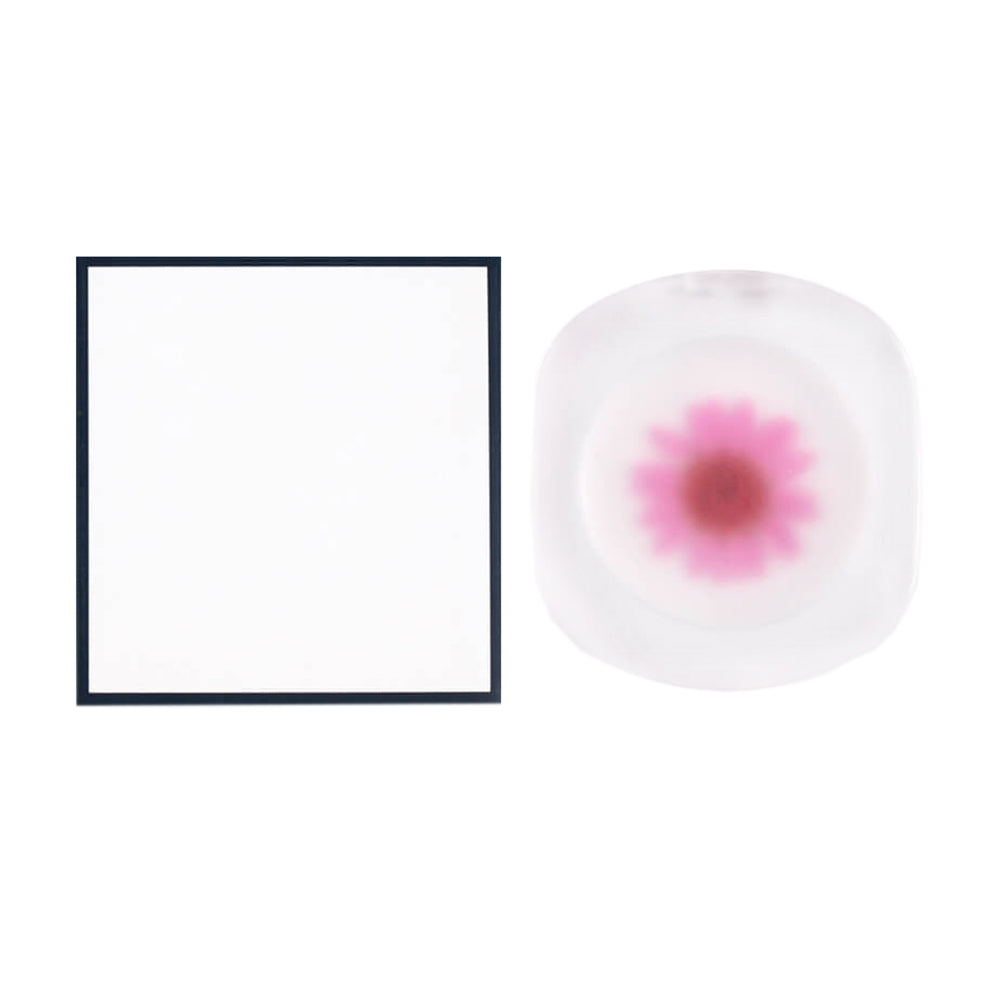 Blush gel bicolore, rouge à lèvres crème, rouge à joues, permanent, véritables fleurs, changement de couleur selon la température