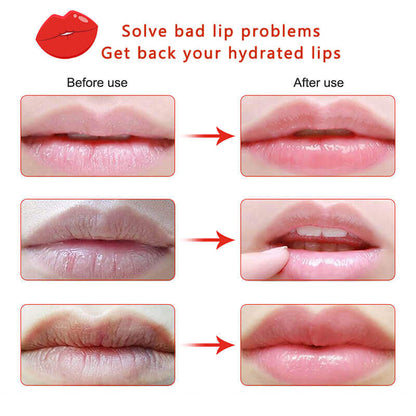 6 color lip mask natural moisturizing nourishing anti-ageing