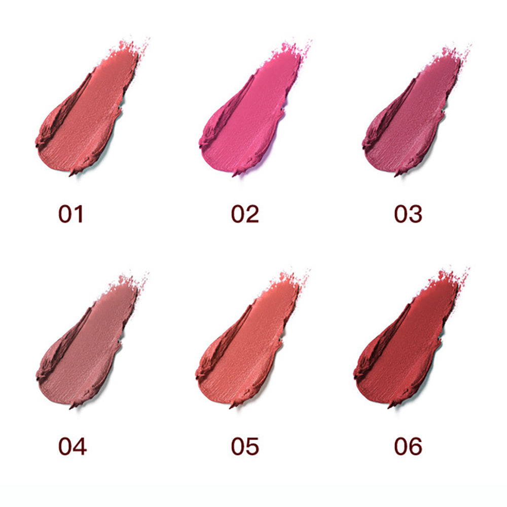 Rouge à lèvres mat 6 couleurs + rouge à lèvres velours double embout longue tenue