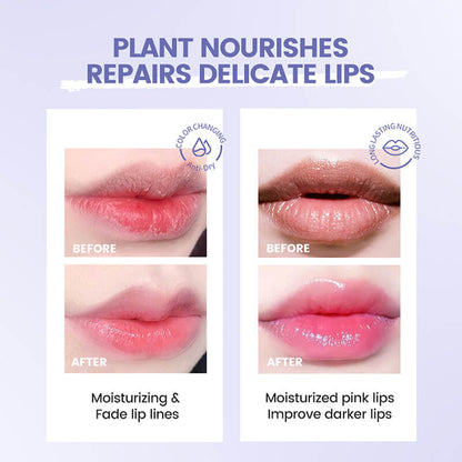 5 color jelly lipstick lip balm color changing moisturizing long lasting