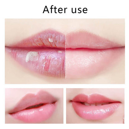 4 flavor fruit lip balm moisturizing nourishing lip care