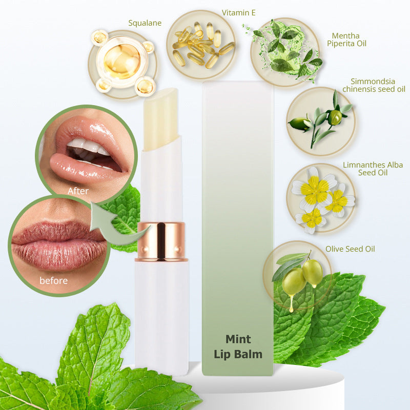 Mint Orange lip balm moisturizing lipstick vegan plant lip essence