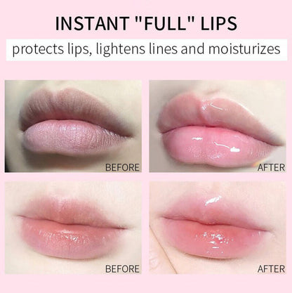 6 color lip oil lip plumping oil pouty moisturizing nourishing glossy