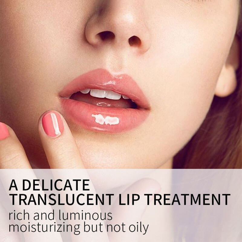 6 color lip oil lip plumping oil pouty moisturizing nourishing glossy
