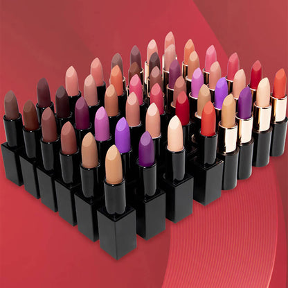 24 Color Matte Lipstick High Pigmented Long Lasting Vegan Private Label