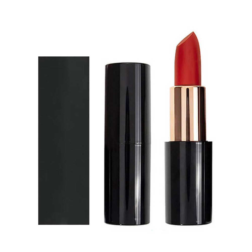 Matte lipstick sample set 103 (4 pieces matte lipstick & free shipping)