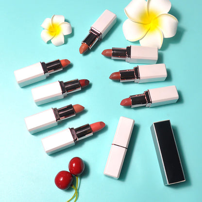 10 Color Matte Lipstick Creamy Waterproof Long Lasting Vegan Cruelty Free