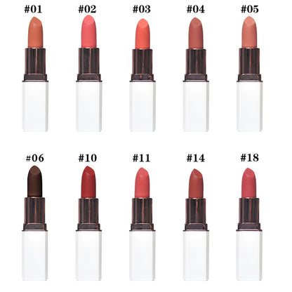 10 Color Matte Lipstick Creamy Waterproof Long Lasting Vegan Cruelty Free