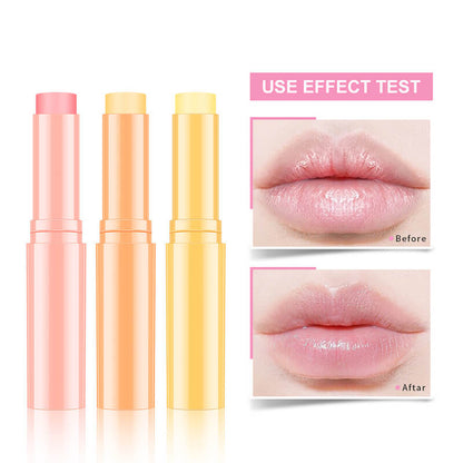 5 flavor lip balm hydrating vaseline honey fruity lip care