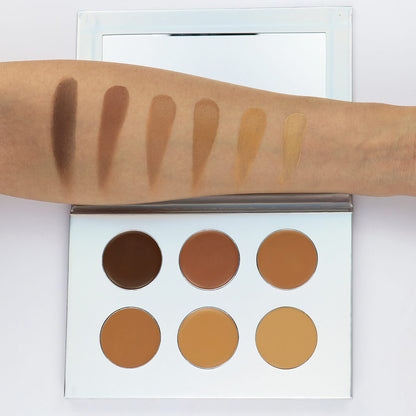 6 color concealer palette flawless full coverage dark color