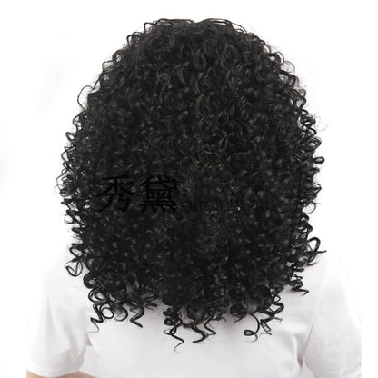 5 color wigs short curly hair fluffy explosive 11.8 inch