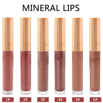 6 color lip gloss nude shimmer high pigmented gold tube