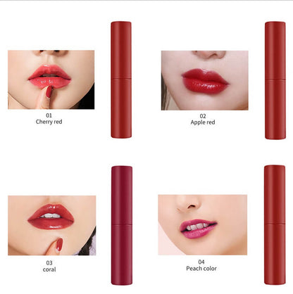 6 color lip gloss lip stain cheek blush high pigmented long lasting